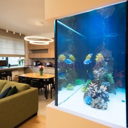 dizajnerskij-remont-v-zhk-zilart5