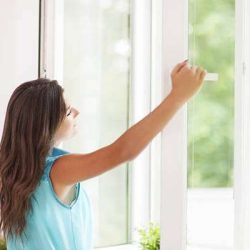 main-window